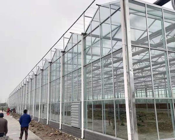 玻璃溫室