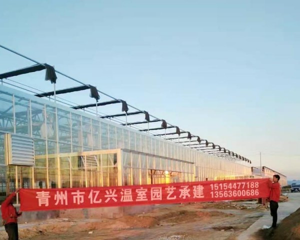 山東省東營(yíng)市牛中莊案例工程