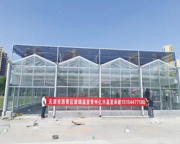 天津市西青區(qū)玻璃溫室