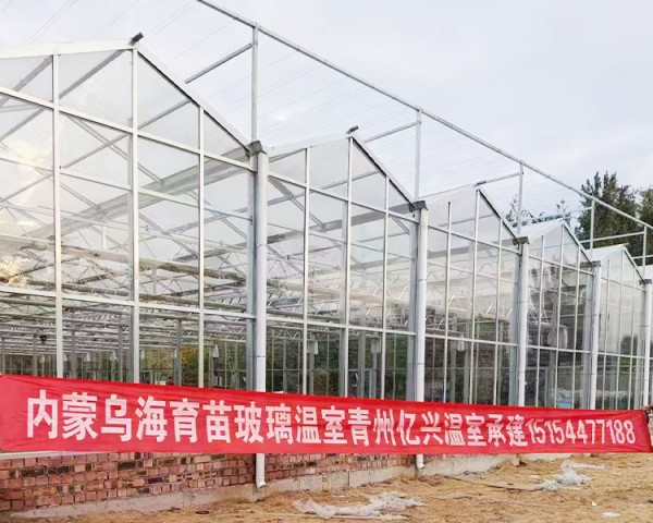 內(nèi)蒙烏海育苗玻璃溫室